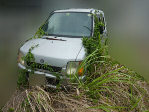 兵庫県姫路市 私有地で草ヒロ状態の放置車両